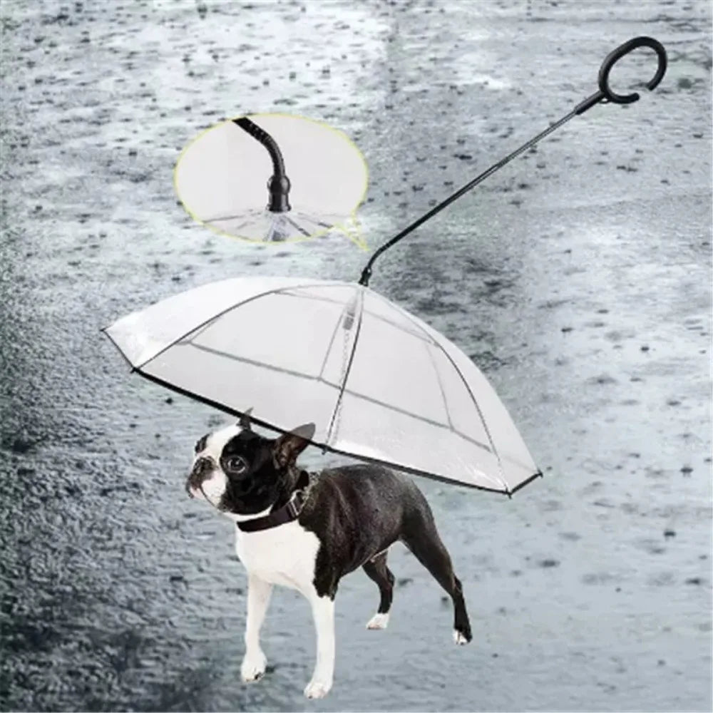 the DRIZZLEDEFENDER PET GEAR - New Transparent Pet Umbrella, Well Made Detachable Adjustable Rainy Day Outdoor Dog Walking Leash for Small Dogs, Pet Supplies