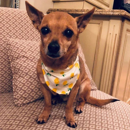 the BREEZYPAWS COTTON BANDANA - Cotton Pet Bandana for Dogs/Cats, Summer Thin Dog Triangular Bandage Scarf, Golden Retriever Bibs, Mascotas, Grooming Accessories