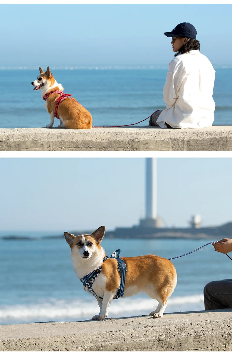 Truelove Pet Harnesses Durable Update Codura Fabric Nylon Aluminum Accessories Dog Harnesses Manufacturers TLH5656