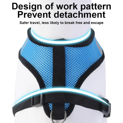 the MESHWALK COMFORT SET - Cat/Small Dog Breathable Mesh Harness and Leash, Kitten/Cats Harnesses, Little Dog/Puppy Harness for French Bulldog, Chihuahua, Pug