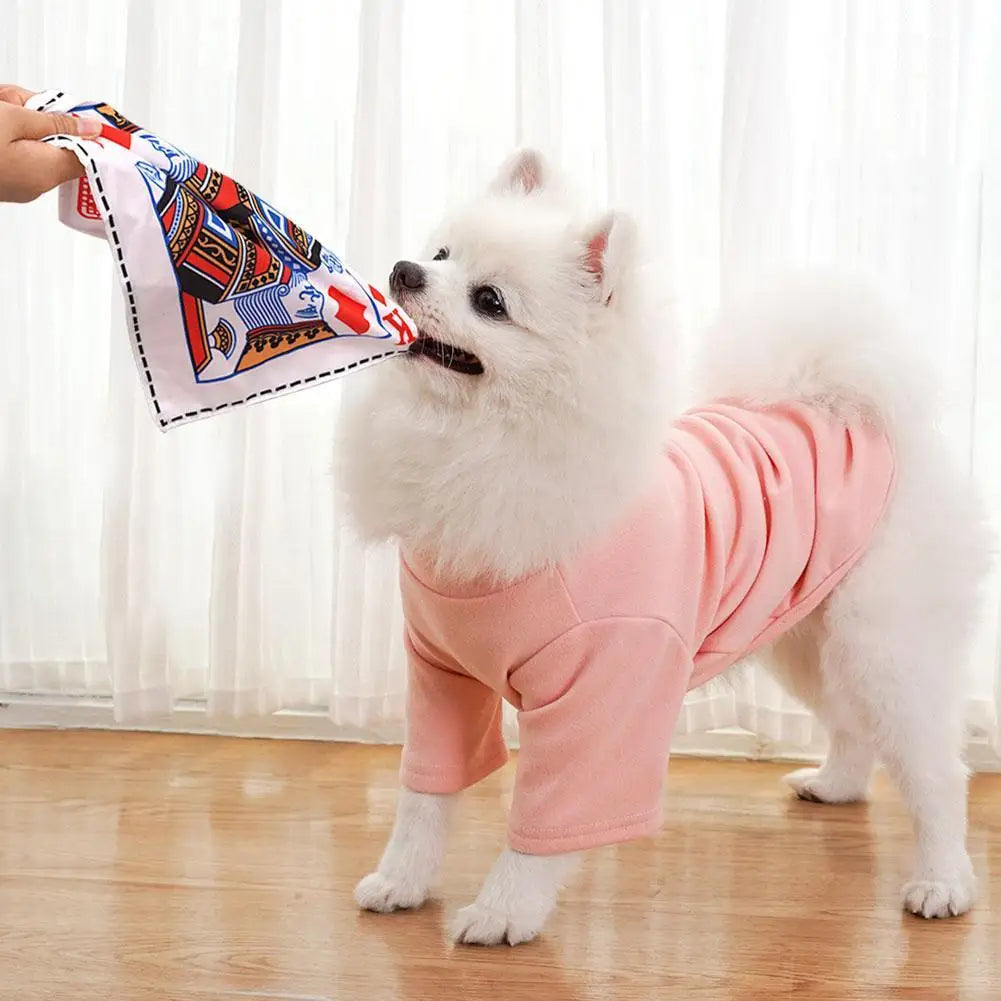 Newspaper Dog Toys Simulation Newspaper Paper Playing Cards Rubbing Sound Small Medium Chew Dog Toys Bite Resistant Tissue