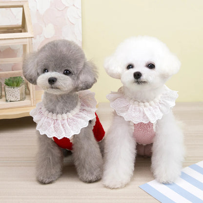 Dog Waistcoat Winter Warm Puppy Clothes for Small and Medium Doggy Pomeranian Chihuahua Vest With Button With D-Ring