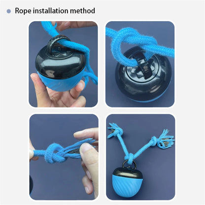 Pet Ball for Dogs Interactive Toys Motion Activate Rolling Ball for Puppy/Small Dogs Automatic Moving Toy USB Rechargeable Toy