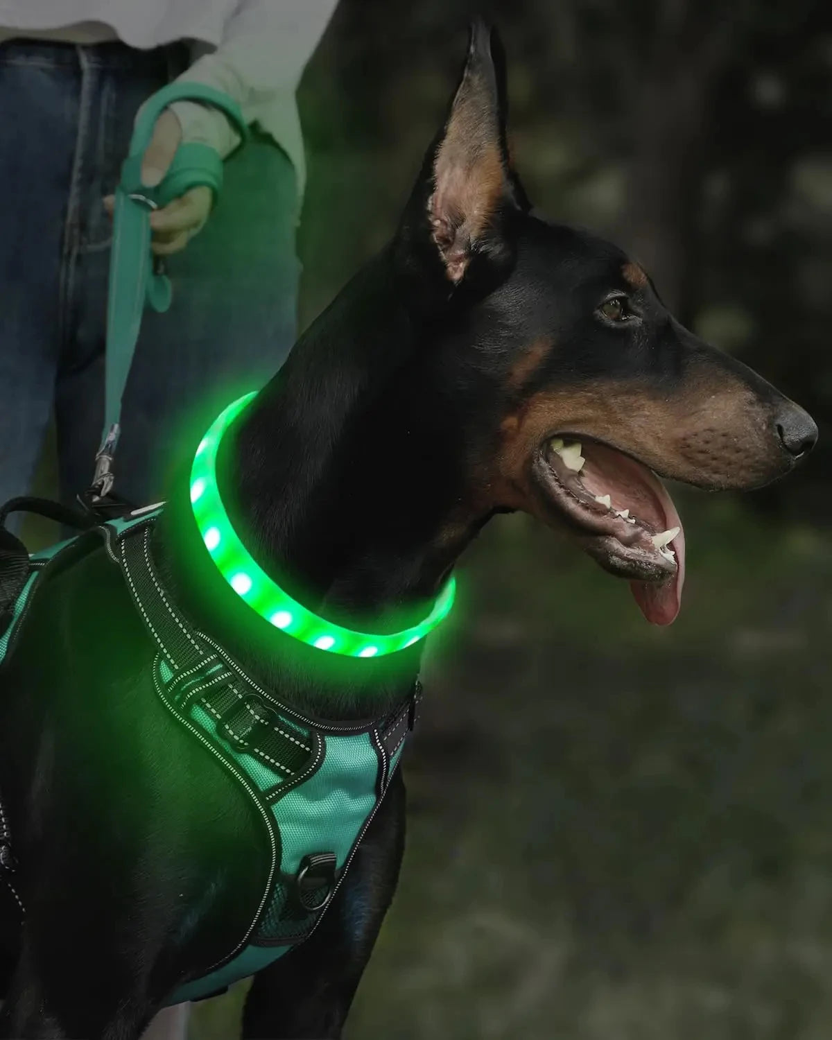 the GLOWGUARD COLLAR - USB Rechargeable Glowing Collar for Large and Small Dogs, LED Glowing Dog Collar - 9 Flashing Modes - Adjustable Soft Silicone Collar