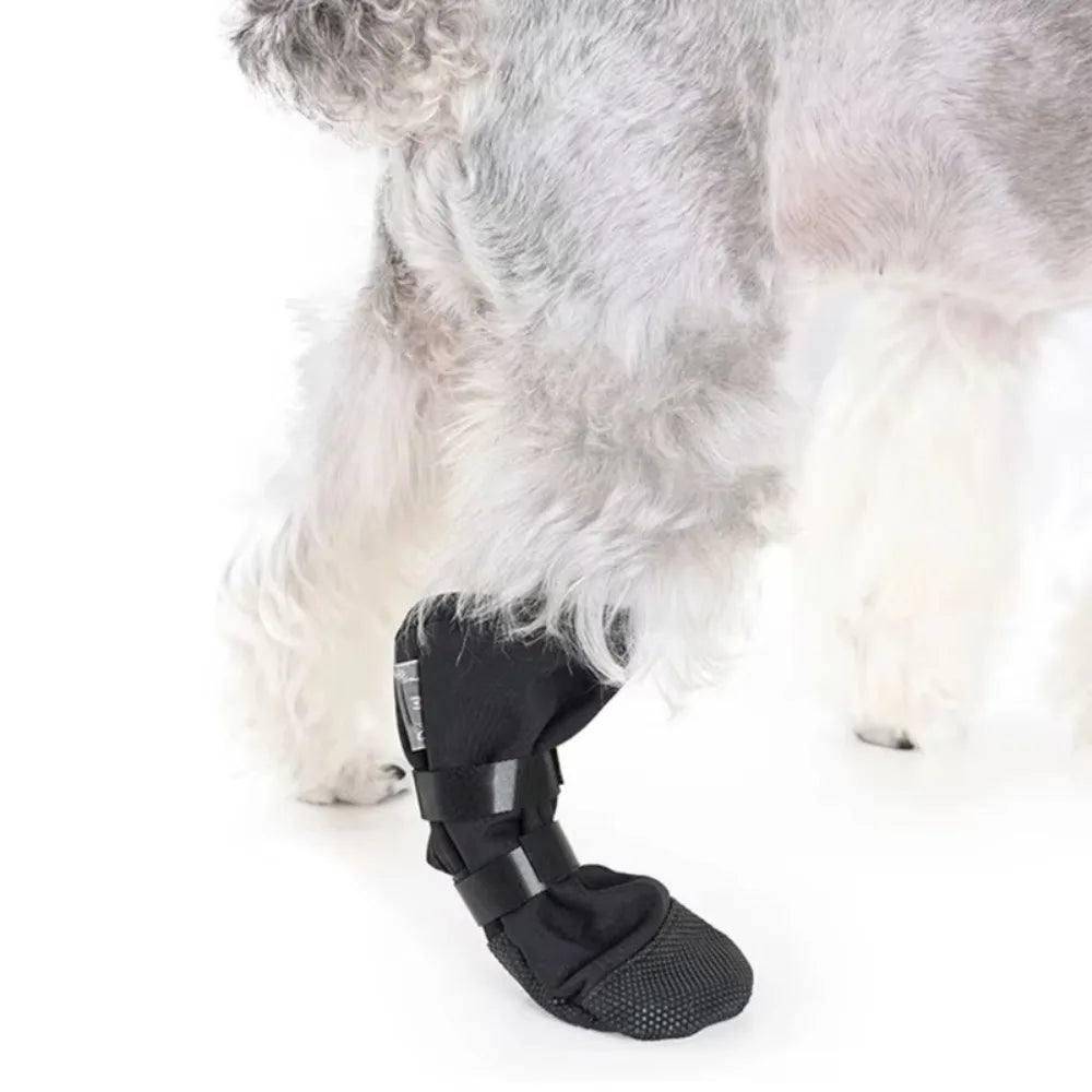 the PAW PROTECTOR - New Anti-Lick Dog Paw Protection Boot, Post Surgical Wound Recovery Dog Paws, Protector Waterproof Pet Supplies