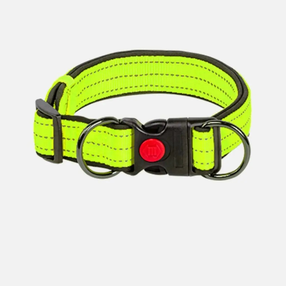 the SAFESTRIDE REFLECTIVE DOG COLLAR - Reflective Padded Dog Collar, Durable Strong Double D Ring, Safety Nylon Pet Dog Collars, Adjustable for Small/Medium/Large Dogs