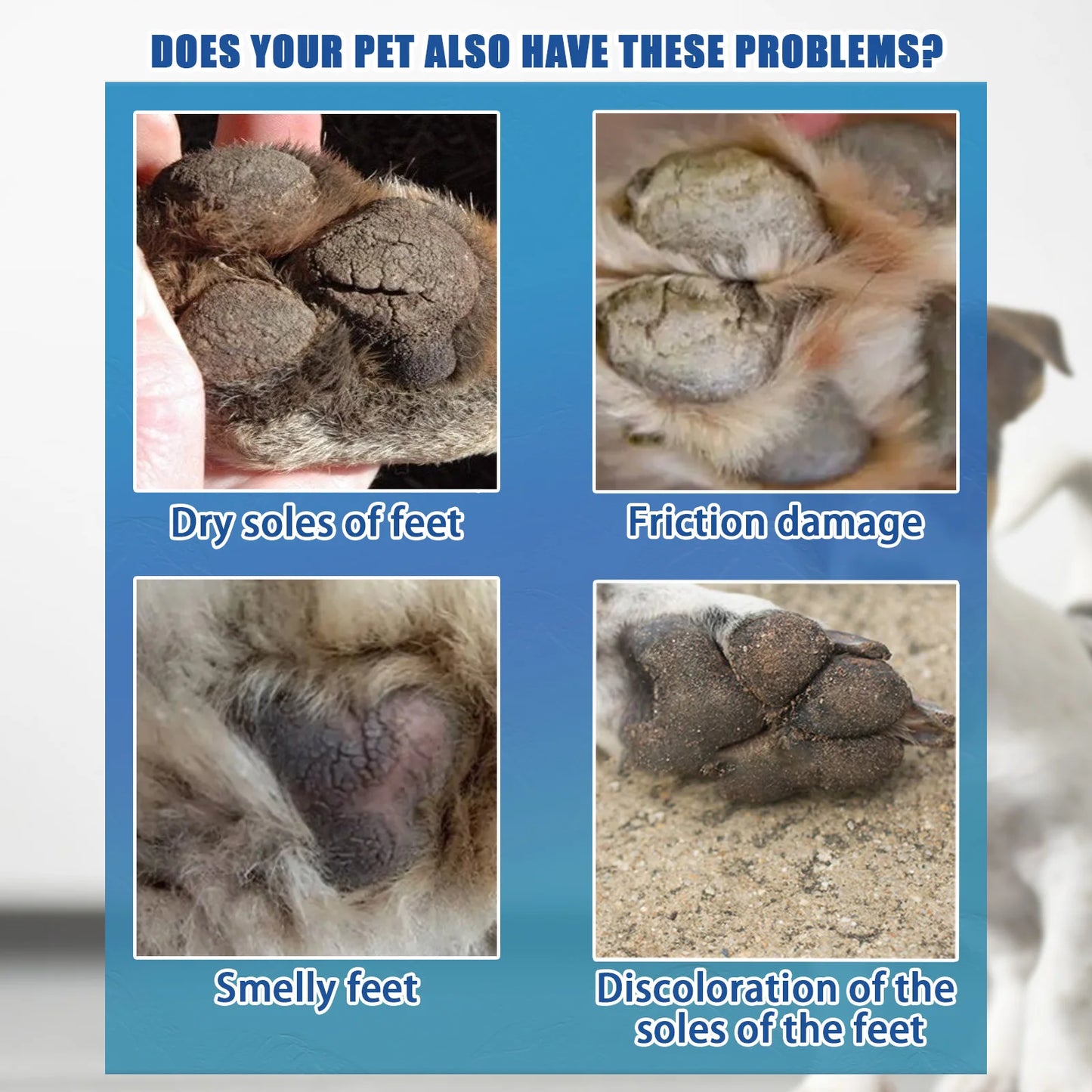 the PROTECTED PAW BALM - Pet Paw Balm for Dog, Natural Moisturizing Feet Repair, Dry Cracked Relieve Discomfort All Season Pet Paw Protection Cream