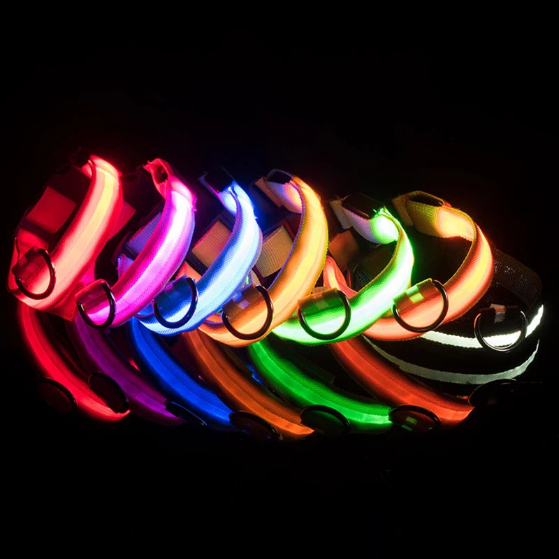 the GLOWTRAIL NIGHT COLLAR - BOOTEELY Nylon LED Night Safety Flashing Glow-in-the-Dark Dog Collar, Dogs Luminous Fluorescent Pet Dog Collar