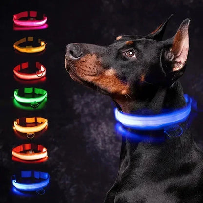 the LUMAGLOW ANTI-LOST COLLAR - LED Glowing Dog Collar, Adjustable Flashing Rechargeable Luminous Collar, Night Anti-Lost Dog Light Harness for Small Dog, Pet Products