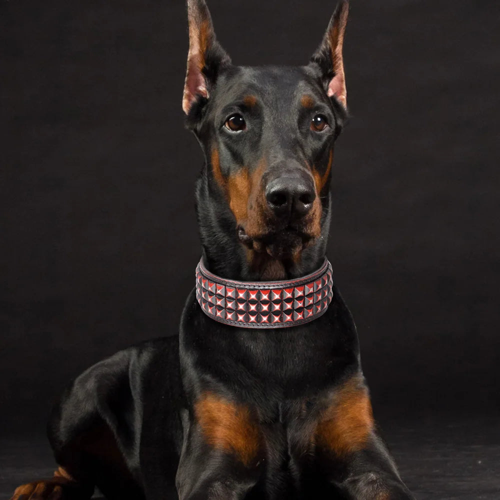 the STUD & SPARK ELITE COLLAR - Luxurious Dog Real Leather Collar, Cool Spiked Studded Pet Collars, Jeweled Leather Dogs Collars, Necklace for Pet Show, Bulldog