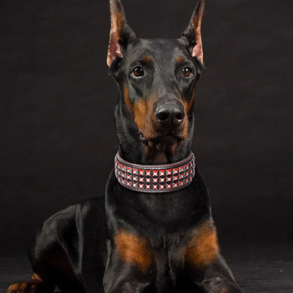 the STUD & SPARK ELITE COLLAR - Luxurious Dog Real Leather Collar, Cool Spiked Studded Pet Collars, Jeweled Leather Dogs Collars, Necklace for Pet Show, Bulldog