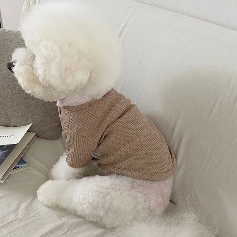 Pet Dog Shirt for Small Dogs Fashion Dog Clothes Spring Puppy Pullovers Cute Solid Cat Bottoming Shirt Pet Sweatshirts Dog Vest