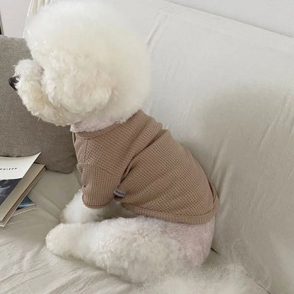Pet Dog Shirt for Small Dogs Fashion Dog Clothes Spring Puppy Pullovers Cute Solid Cat Bottoming Shirt Pet Sweatshirts Dog Vest