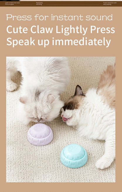 Pet Communication Button Dog Toys Recordable Pet Speaking Training Dog Talking Button Cute Claw Print Pattern Dog Accessories