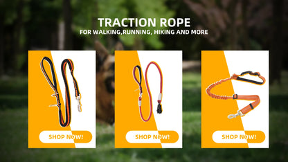 the COMMANDPRO REFLECTIVE LEASH - Heavy Duty Dog Leash - Nylon Reflective with Soft Padded 2 Handle & Auto Lock, Frog Clip, Outdoor Dog Leash with a Dog Poop Bag