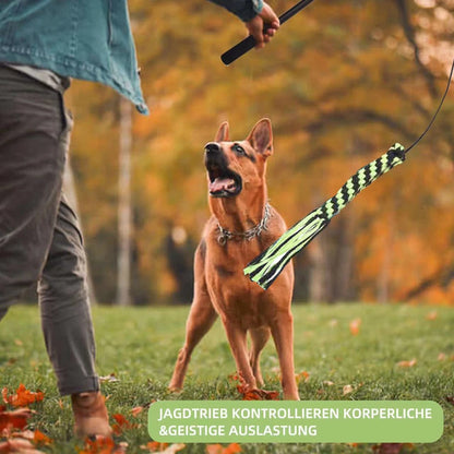 Dog Toy Flirt Pole Teeth Grind Training Extendable Interactive Funny Chasing Tail Teaser Exerciser for Pets Outdoor Playing Toys