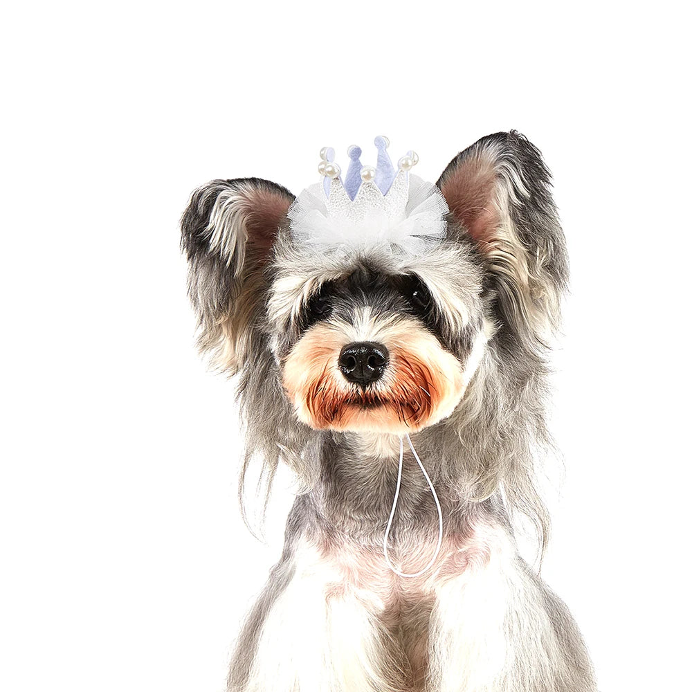 Luxury Pet Birthday Party Hat for Dogs & Cats - Instagrammable Photo Prop High-Quality Birthday Hat for Pets