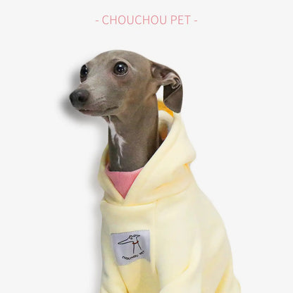 Spring new hooded pet sweatshirt Italian iggy coat Whippet sweatshirt suitable for small and medium-sized dogs