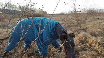 Cozy Polyester Dog Onesie with Safe Zipper Anti-Shedding Warm Pajamas with Feet Comfortable Jumpsuit for Small To Large Breeds