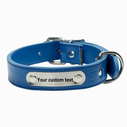 the NAMESAFE EVERYDAY ID COLLAR - Custom Personalized Dog Collar with Name Engraved ID, Anti-Loss Solid PU Leather for All Types of Puppies and Kittens, Pet Supplies