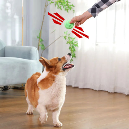 Pet Chew Toy Squeaky Corn Ball, Durable Dog Chewing Ball for Teeth Grinding & Cleaning, Puppy Boredom Relief Pet Supplies