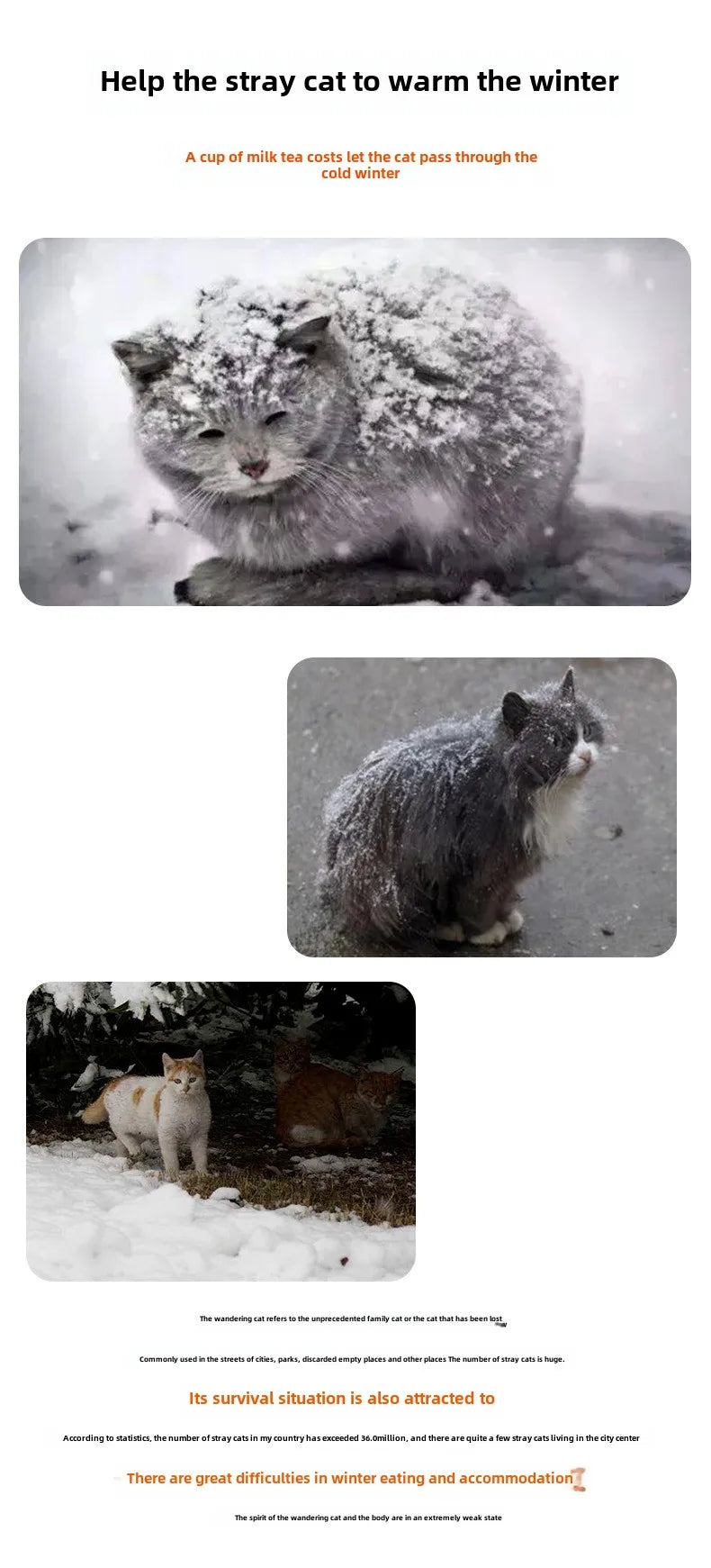 the STRAY HOUSE - Stray Cat/Doghouse, Waterproof Outdoor Winter Warm Pet Cave, Sleeping Beds Home, Foldable Washable for Small Dog/Puppy Supplies