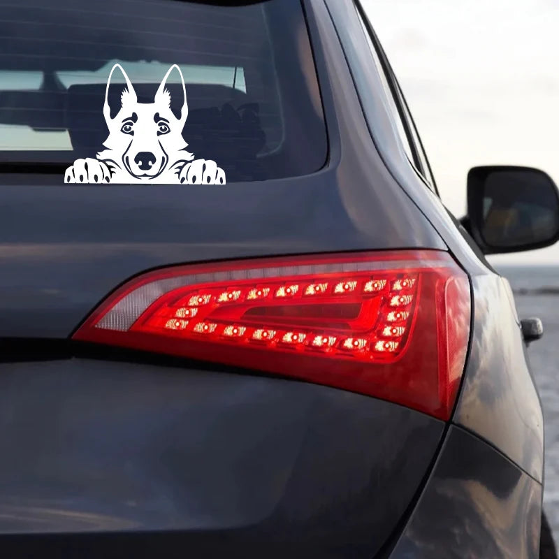 Cars Accessorie Decals Funny Dog With Name Car Decal Dogs Pet Animals Laptop Vinyl Sticker For Apple MacBook Pro/Air Decoration