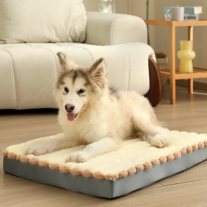 Dampproof Washable High Rebound Memory Sponge Dog Bed Detachable with Zipper Comfortable Pet Cushion Four Season Universal