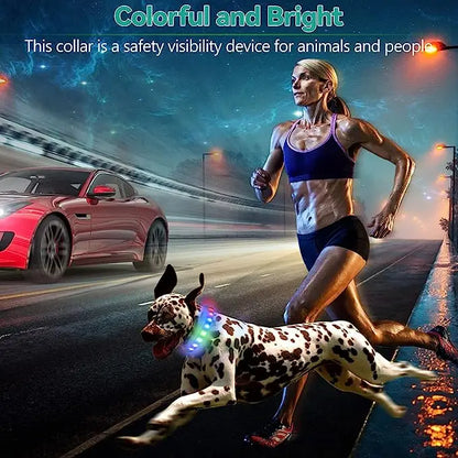 the NIGHTBEAM GLOW COLLAR - New Led Luminous Dog Collar, PVC Waterproof for Large/Medium/Small Dogs, Collar USB Light Night Safety, Pet Glowing Accessories
