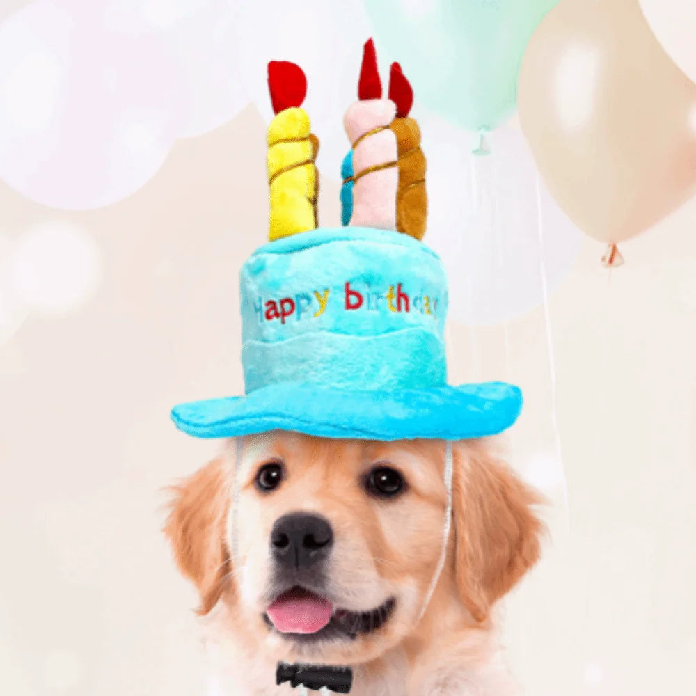 the HAPPY CAKE HAT - New Birthday Theme Dog Hat, Cake Shape Blue & Pink Pet Headwear, Cap Cute Puppy/Kitten Hat, Pet Gift