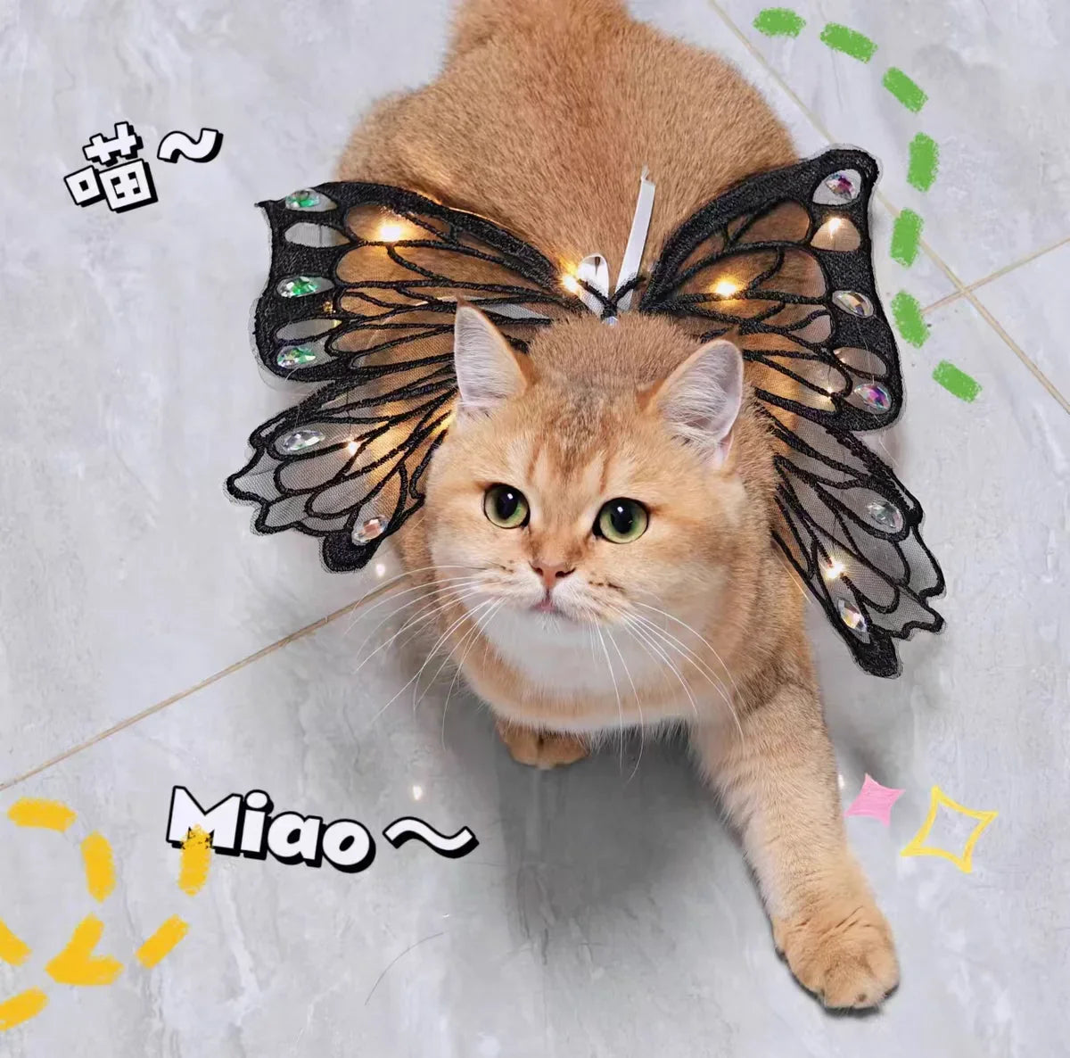 Dog wings glowing butterfly back decoration puppy summer clothes chest back decoration small dog Pomeranian Teddy Bigbear