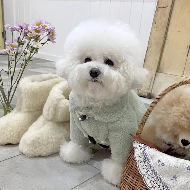 Winter Dog Coat Pet Dog Warm Clothes Kitten Puppy Costume Solid Dog Jacket Chihuahua French Bulldog Clothing for Dogs Pet Hoodie