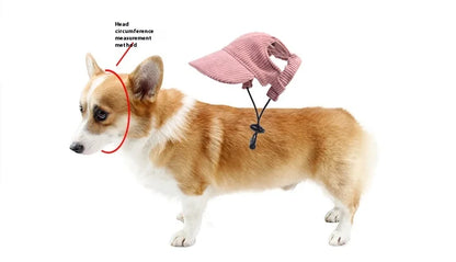 the SUNPAWS BREATHABLE HAT - New Summer Pet Dog Hat, Breathable Sun Protection, Ears Exposed Design, Golden Retriever, Dog Cap, Summer Shade Pet Accessories