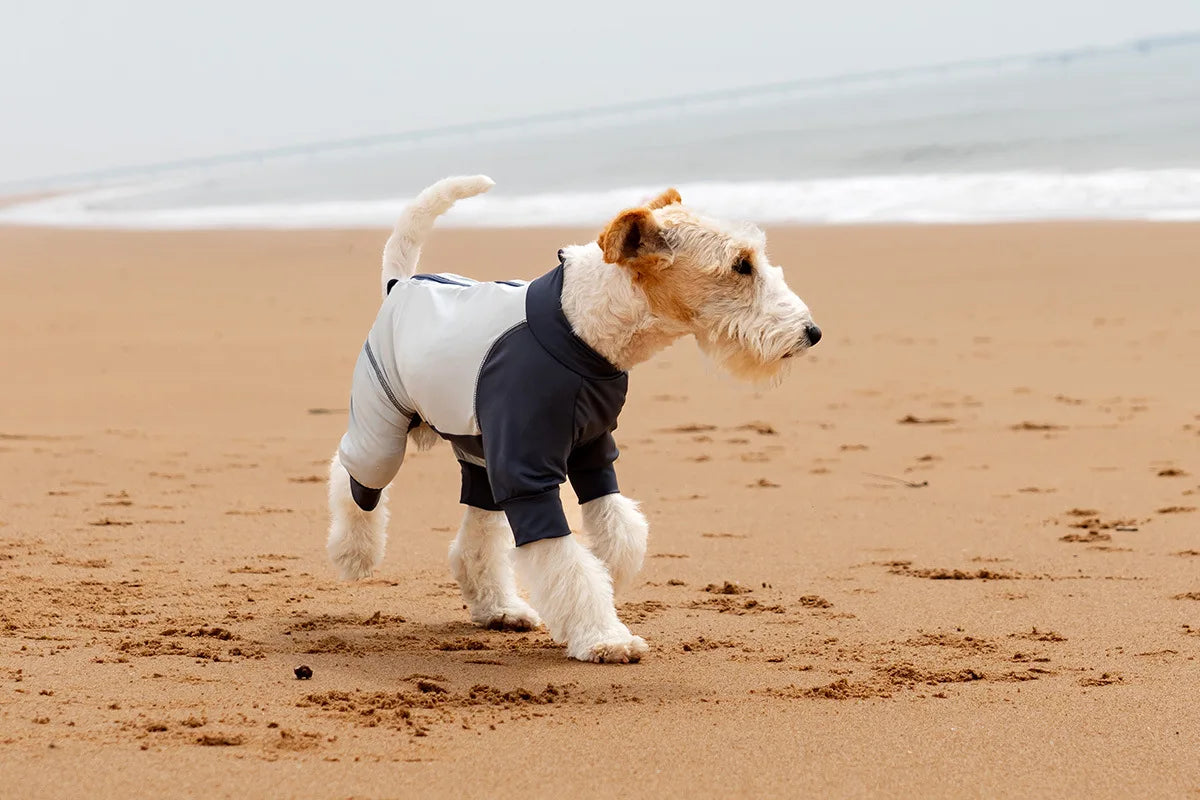 Summer Cooling Dog Vest Shirt UPF50+ Sun Protection Dog Jumpsuit Fast Drying Dirt-Proof Dog Clothing Soft Summer Outdoor Overall