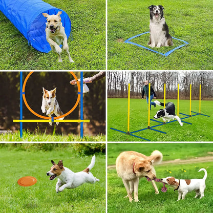 the HURDLEHERO DOG SET - Pet Agility Training Set, Jumping Bar Dog Obstacle, Training Equipment Hurdle, Training Dog, Training Device, Pet Supplies