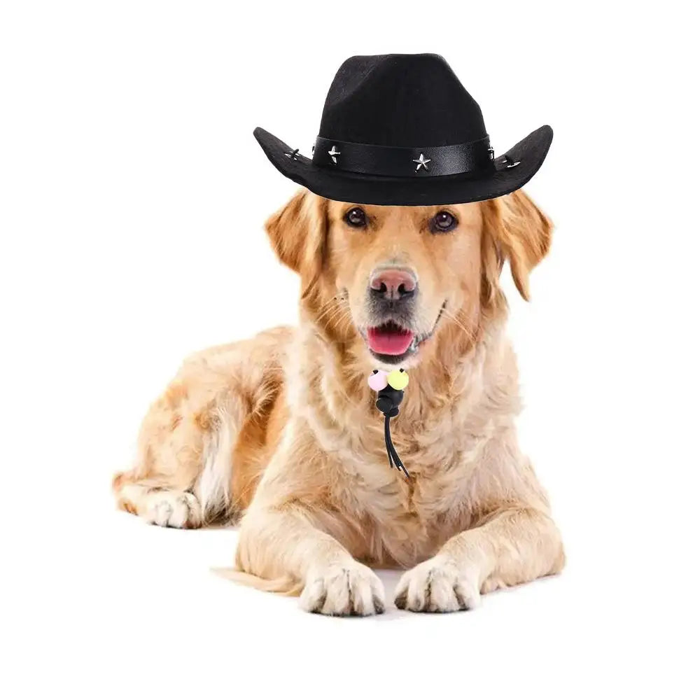 the COWBOY CANINE - Puppy/Dog & Kitten/Cat Hat, Birthday Party Dog/Cat Costumes, Pet Products - Photo Prop, Christmas Dog Hat, Pet Supplies Dog Costume, Cat Cowboy Hat
