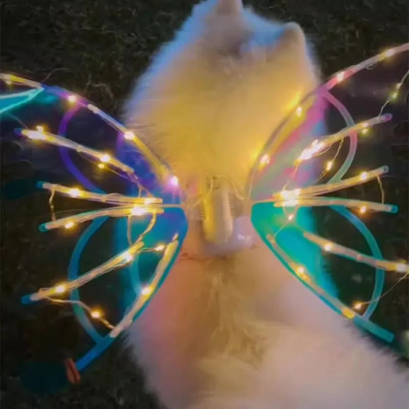 the GLOW WINGS - Dog Butterfly Wings, Pet Glowing Wings, Puppy Summer Clothes, Decorative Samoyed/Husky Medium Dogs