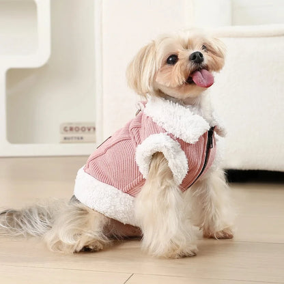 the PAWSTYLE ESSENTIALS COLLECTION - Dogs Clothes/Apparel, Pet Clothing Puppy Apparel Goods, Dog Accessories, Cats Costume Coats, Coat Pets, Small Jackets Vest