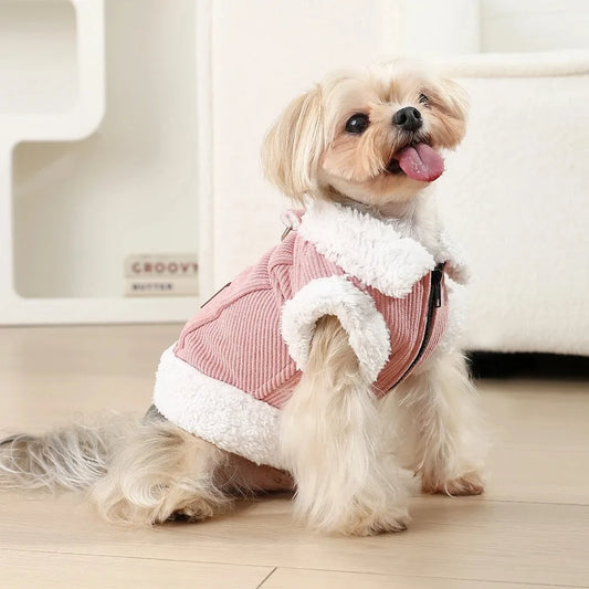 the PAWSTYLE ESSENTIALS COLLECTION - Dogs Clothes/Apparel, Pet Clothing Puppy Apparel Goods, Dog Accessories, Cats Costume Coats, Coat Pets, Small Jackets Vest
