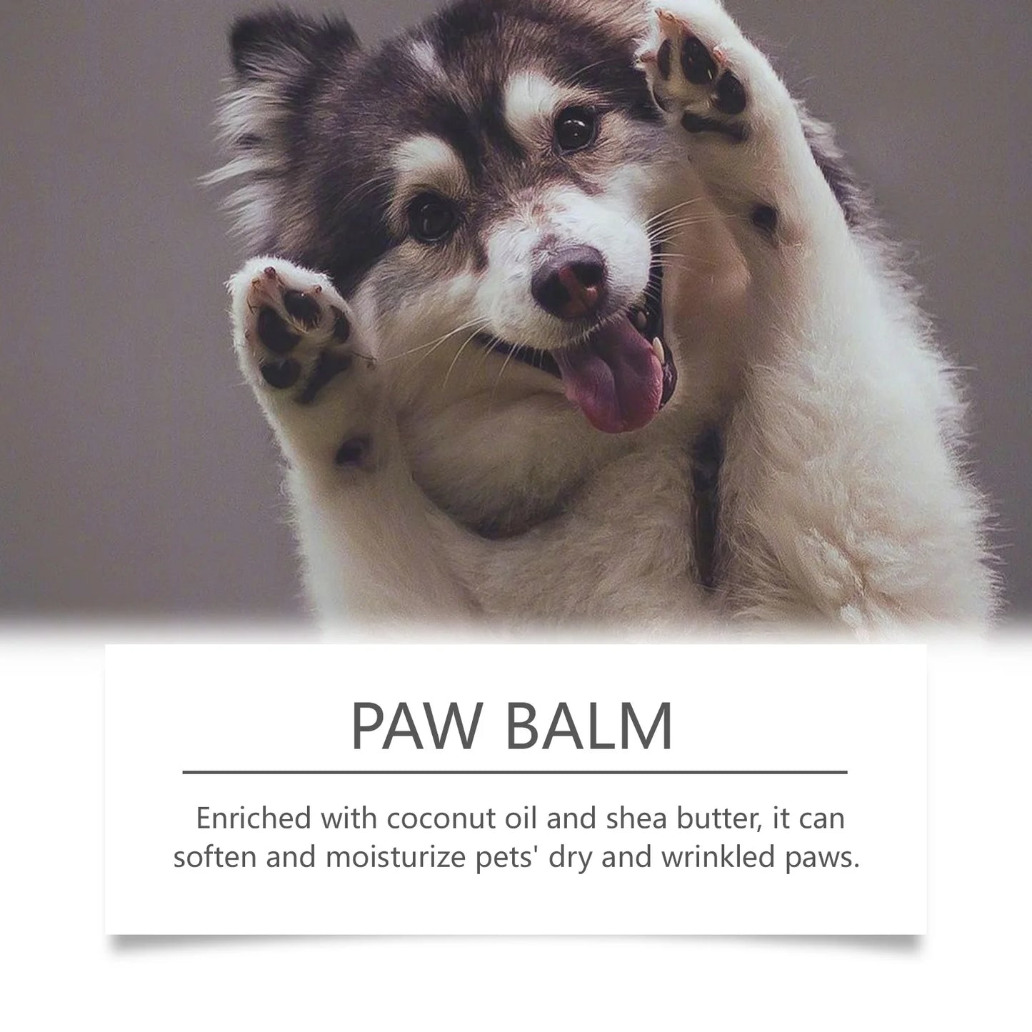 the PAW BALM - Paw Balm Repair, Damaged Dog Paws, Anti-Crack Increase Elasticity Strengthen Paw Health, Reduce Dryness Moisturizing Pet Care 30g