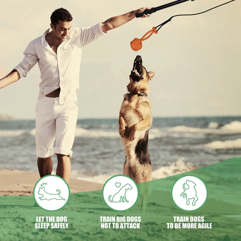 Dog Toy Flirt Pole Teeth Grind Training Extendable Interactive Funny Chasing Tail Teaser Exerciser for Pets Outdoor Playing Toys