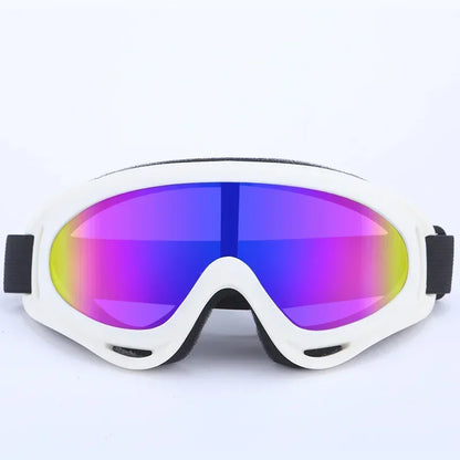 the GOGGLES - Big Dog Goggles Wind and Snow Protection UV Protection Sunglasses