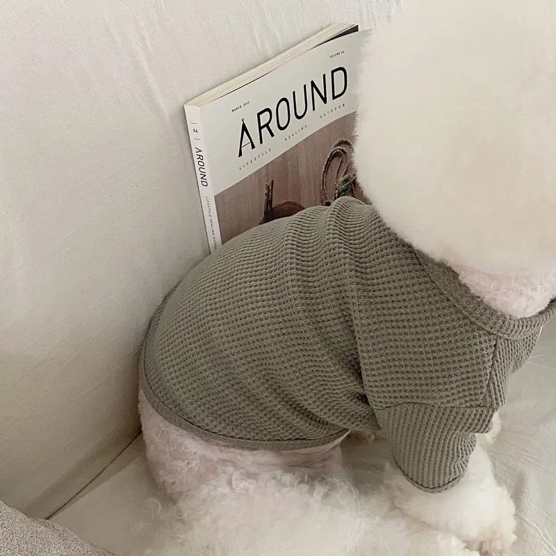 Pet Dog Shirt for Small Dogs Fashion Dog Clothes Spring Puppy Pullovers Cute Solid Cat Bottoming Shirt Pet Sweatshirts Dog Vest