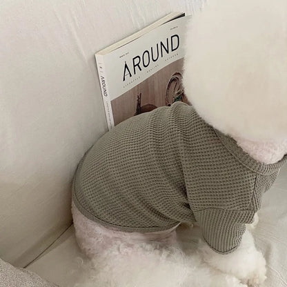 Pet Dog Shirt for Small Dogs Fashion Dog Clothes Spring Puppy Pullovers Cute Solid Cat Bottoming Shirt Pet Sweatshirts Dog Vest