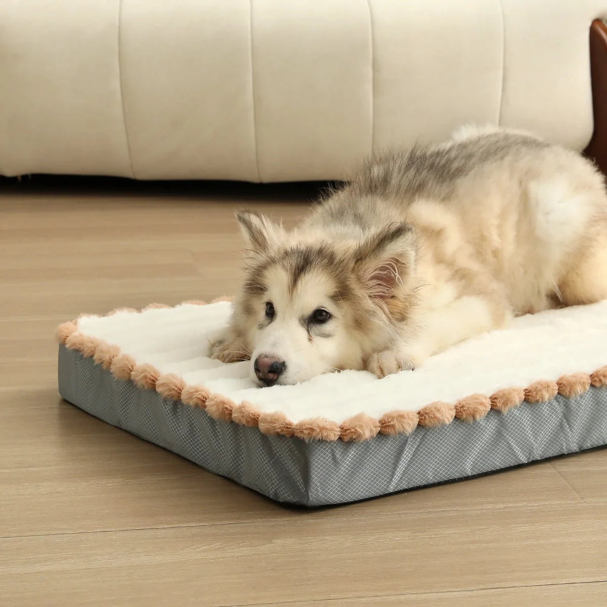 Dampproof Washable High Rebound Memory Sponge Dog Bed Detachable with Zipper Comfortable Pet Cushion Four Season Universal