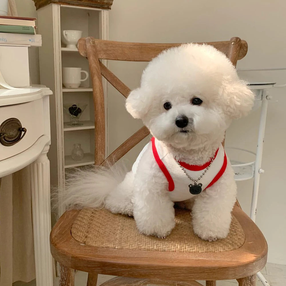 Comfortable White Dog Shirt Embroidery Teddy Pet Cat Sunscreen Shirt Puppy T-Shirt Cat Vest Small Dog Summer Clothes