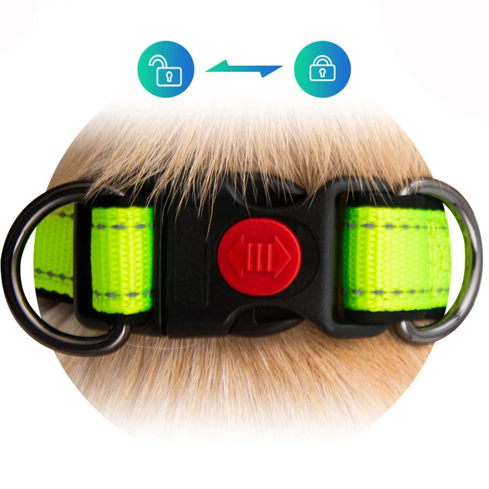 the SAFESTRIDE REFLECTIVE DOG COLLAR - Reflective Padded Dog Collar, Durable Strong Double D Ring, Safety Nylon Pet Dog Collars, Adjustable for Small/Medium/Large Dogs