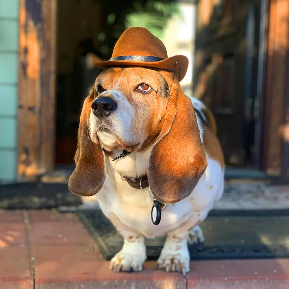 the WRANGLER DOG - Pet Hat, Dog/Cat Western Cowboy Hat, Retro Photo Prop for Dogs and Cats, Funny Doll Decoration, Pet Triangle Scarf, Pet Accessories