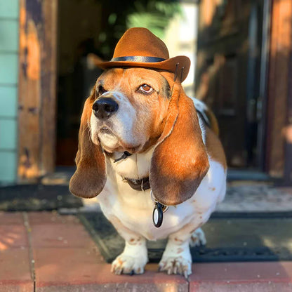 the WRANGLER DOG - Pet Hat, Dog/Cat Western Cowboy Hat, Retro Photo Prop for Dogs and Cats, Funny Doll Decoration, Pet Triangle Scarf, Pet Accessories