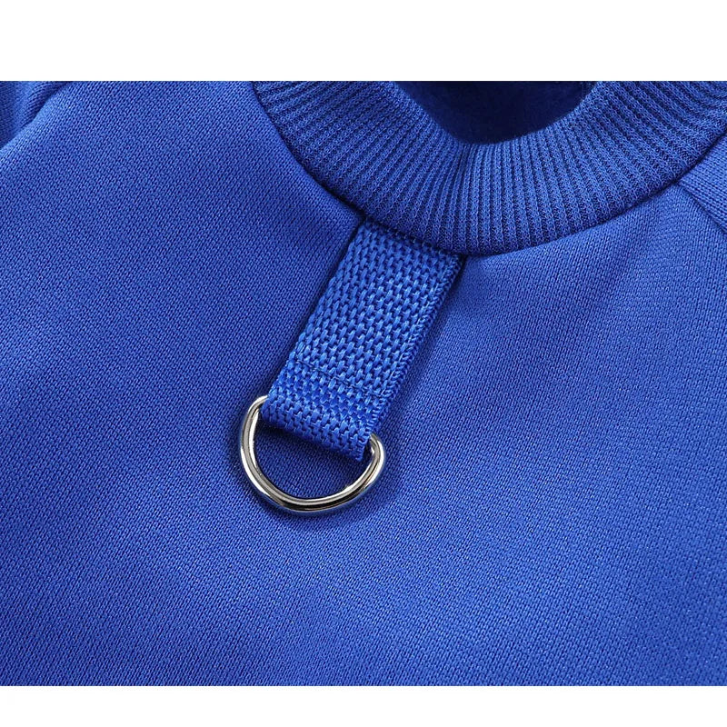 Dog Hoodies Clothes Winter Solid Pet Clothing Sweater For Small Dogs York Puppy Hoodies Costume Black Blue Red Pet Sweatshirt XL